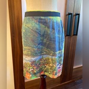Anthropologie Meadow Rue scenery skirt. Sz 6